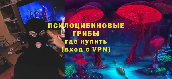 Альфа ПВП Аркадак