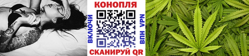 Марихуана сатива  Артёмовск 